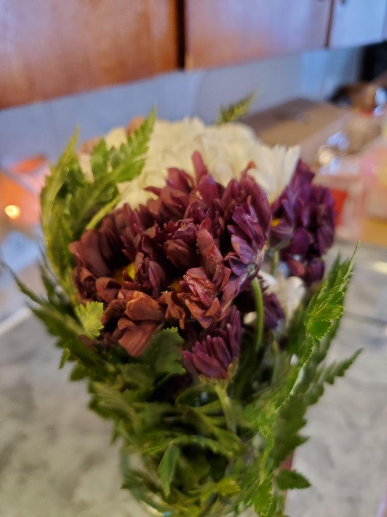  'resent' frozen dead flowers upon arrival AGAIN