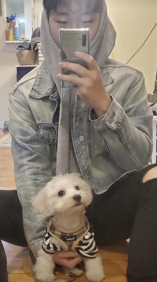 stolen denim jacket