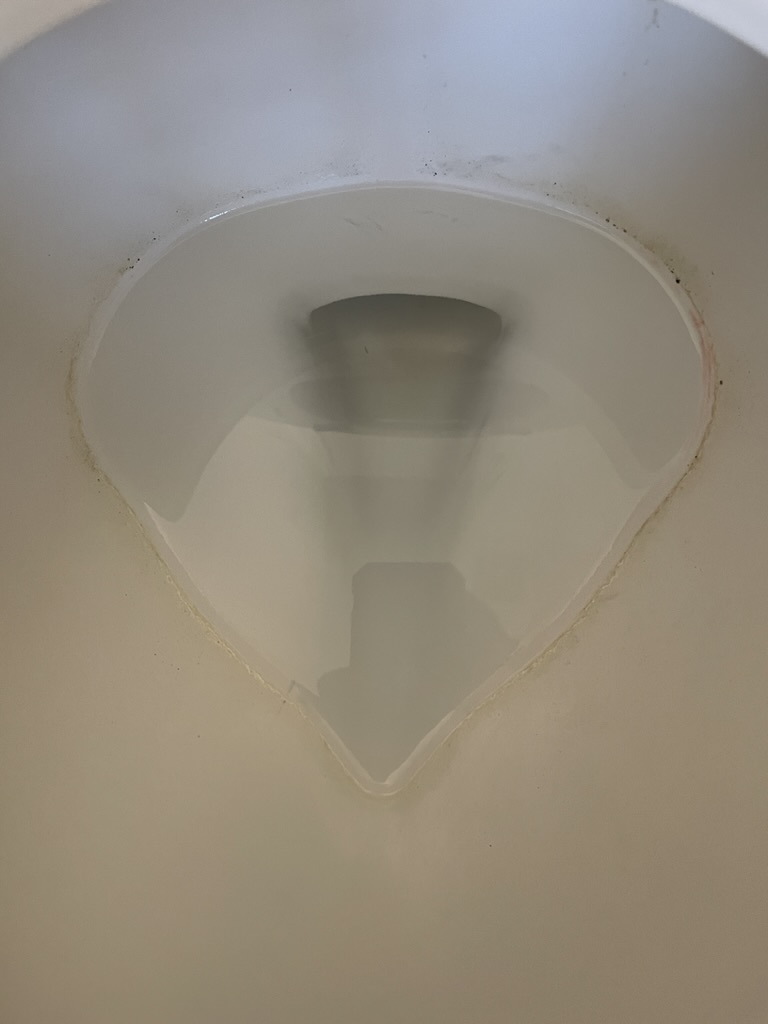 Toilet masterbath