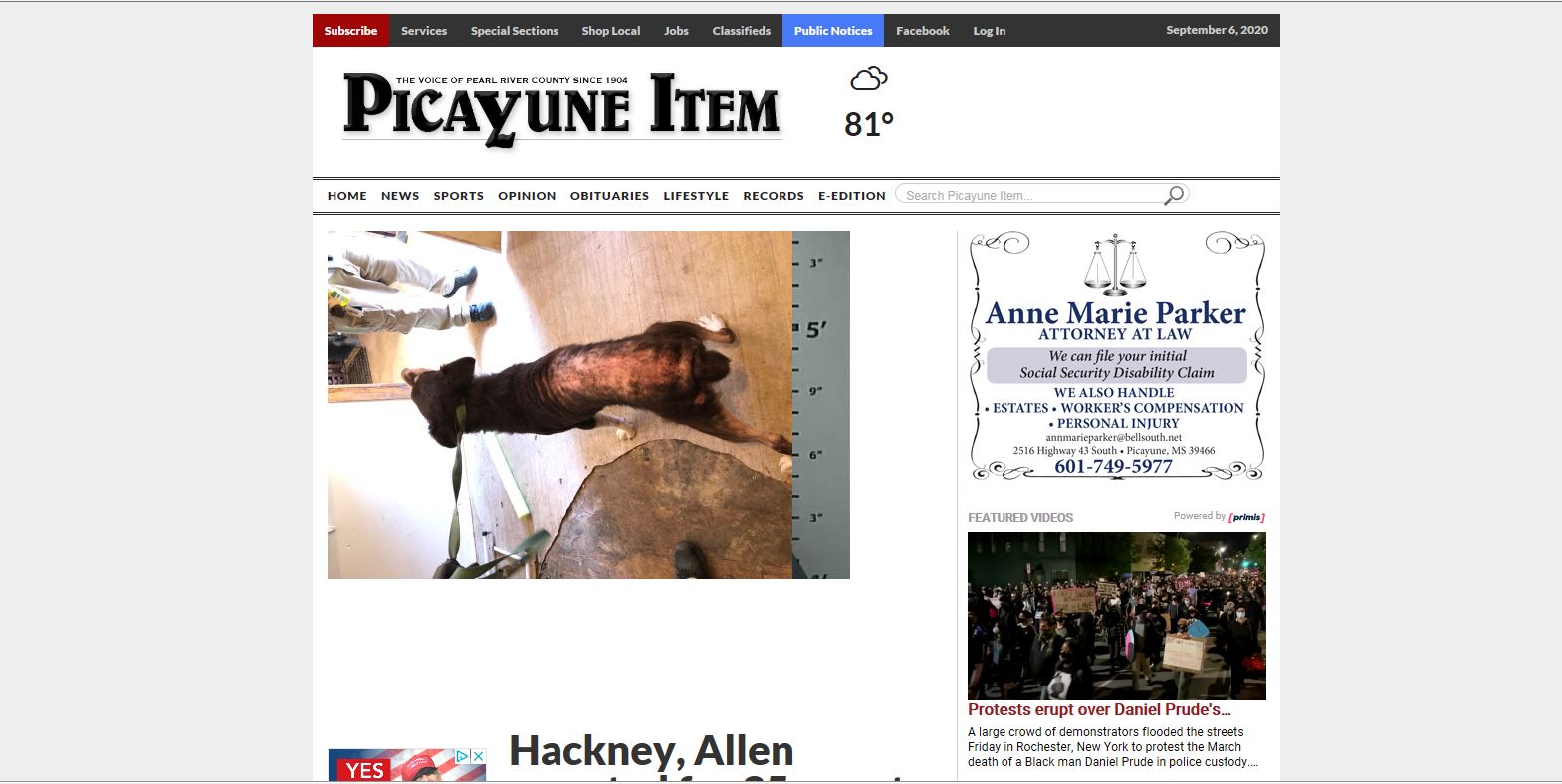 Document Image