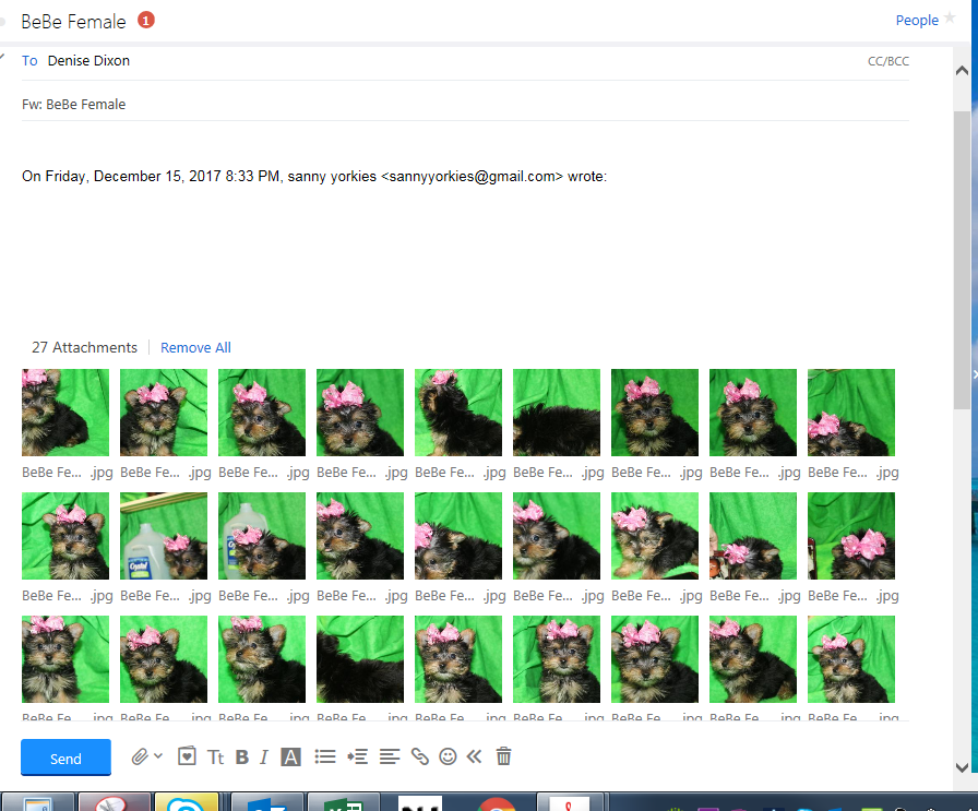 Document Image