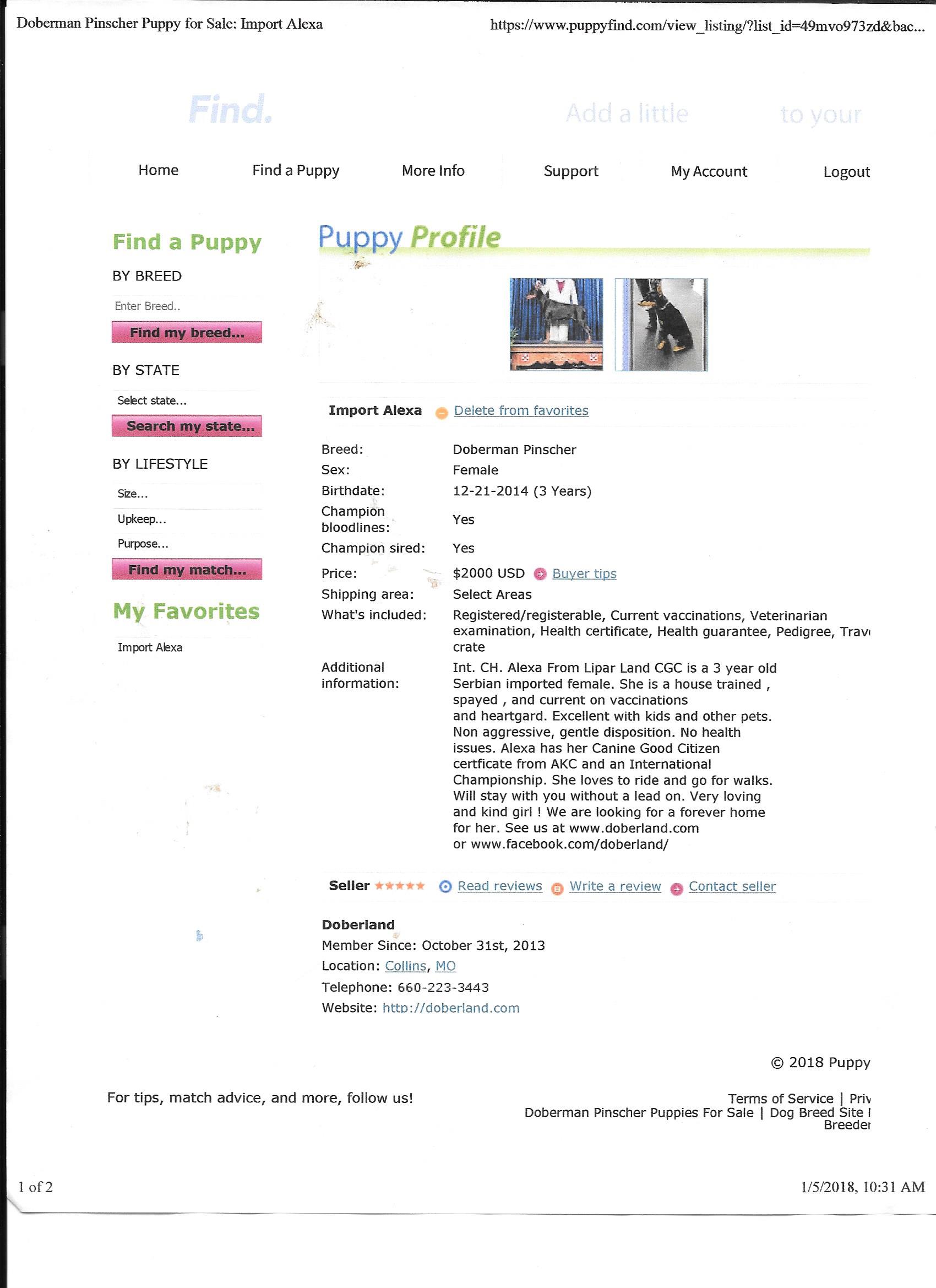 Document Image