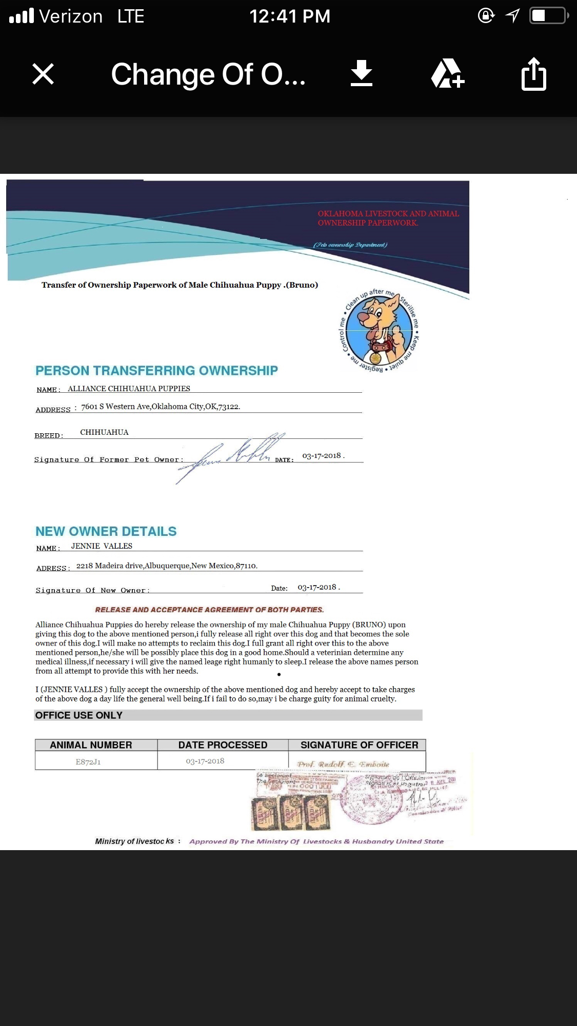 Document Image