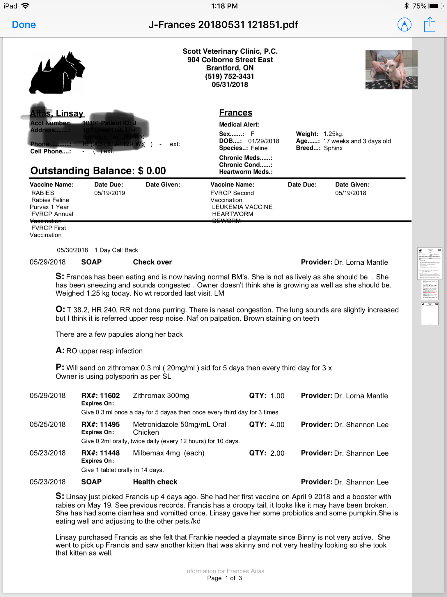 Document Image