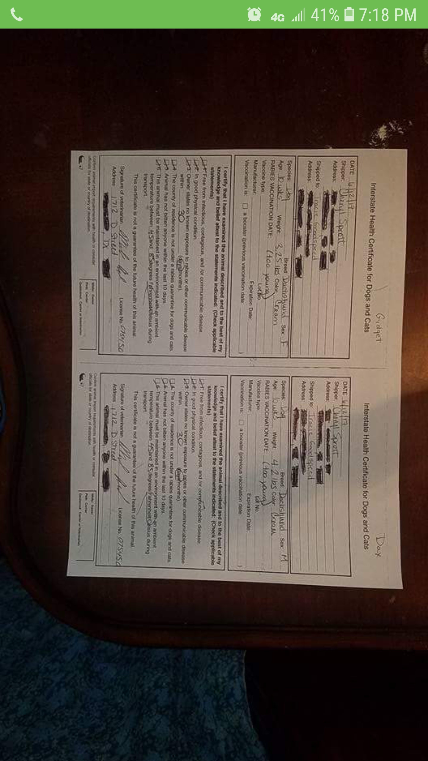 Document Image