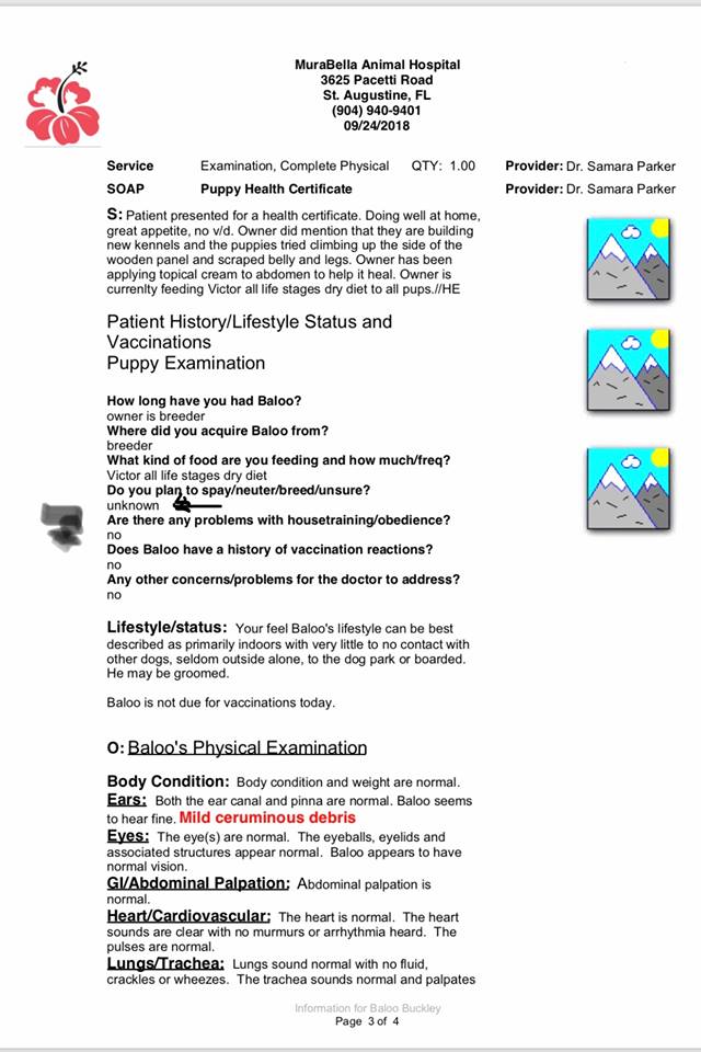 Document Image