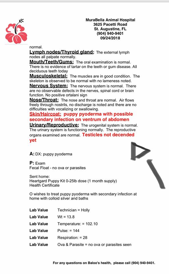 Document Image