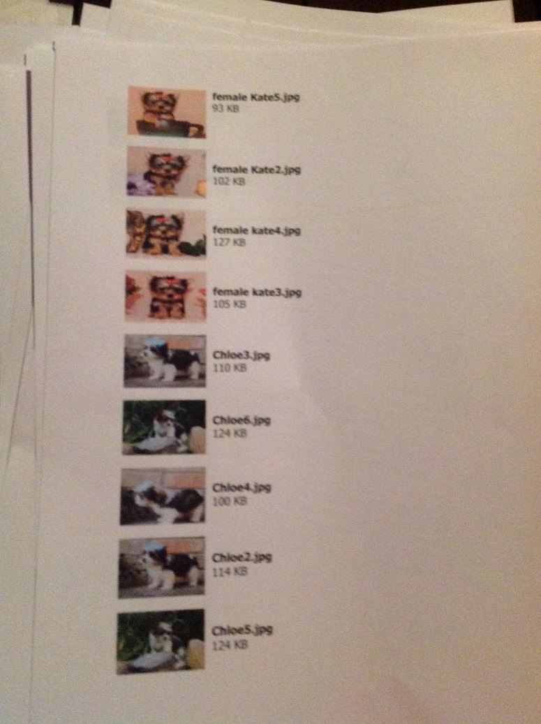 Document Image