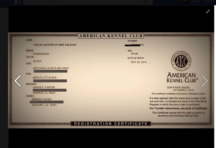 Document Image