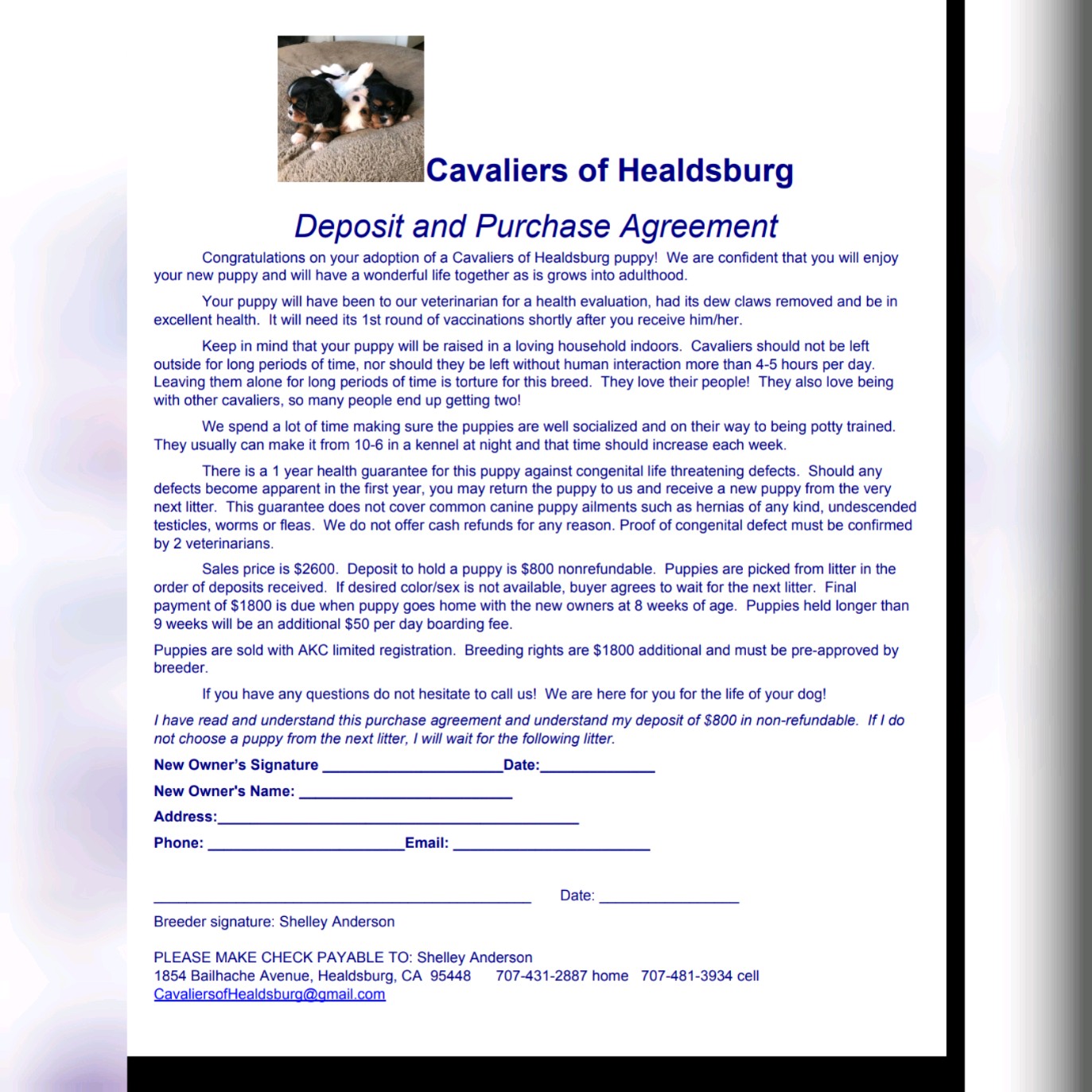 Document Image