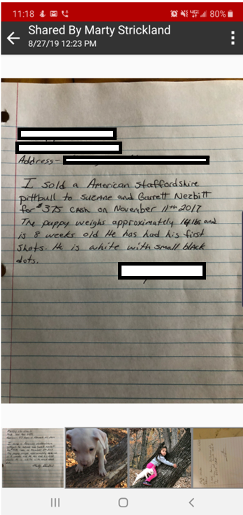 Document Image