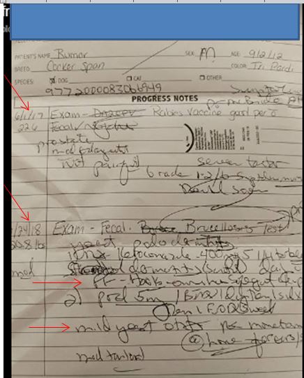 Document Image