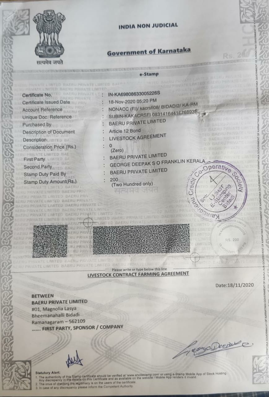 Document Image