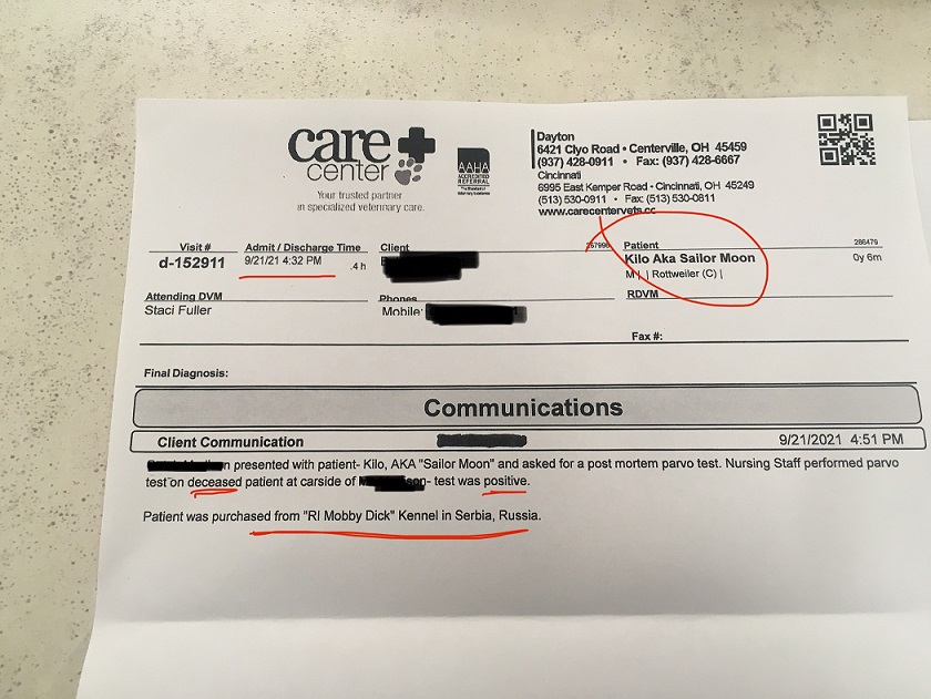 Document Image