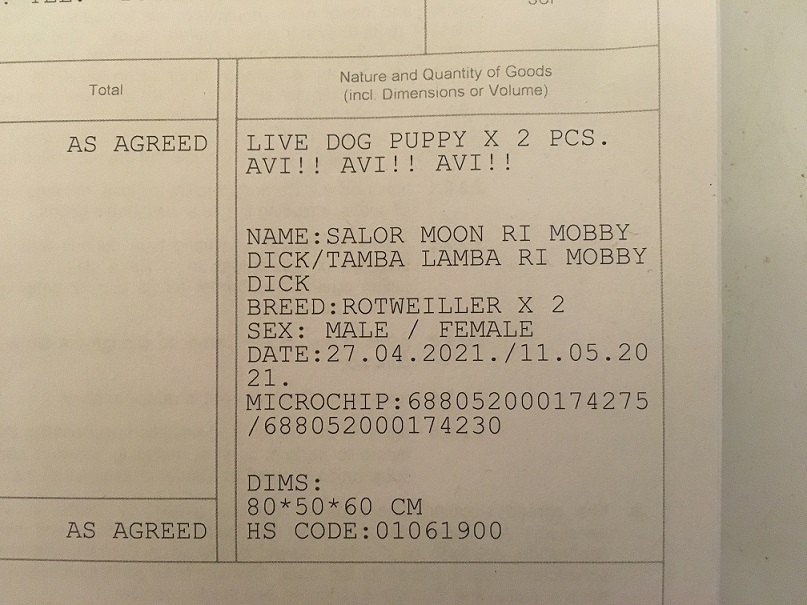 Document Image