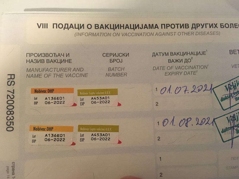 Document Image