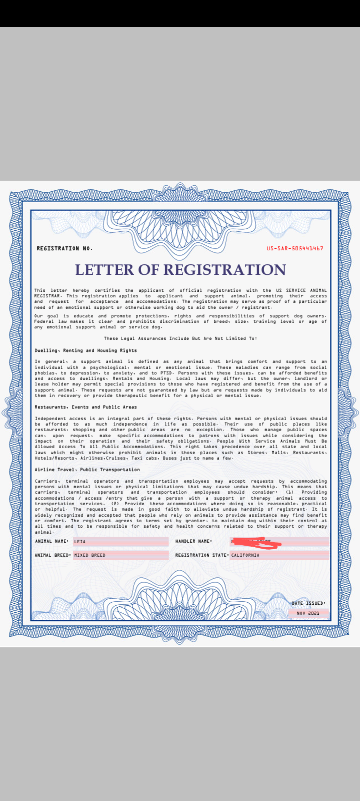 Document Image